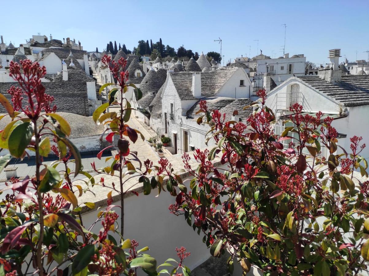 Nou La Tua Casa In Puglia Apartment Alberobello Exterior photo